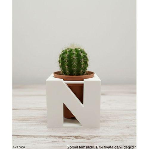 Beyaz Centikli Harf Seklinde Mini Dekoratif Saksi Ismine Ozel Bas Harf Tasarim Masa Ustu Ofis Dekoru 7 Cm