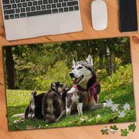 Ormanda Husky Ve Yavru Köpek 240 Parça Puzzle Yapboz-74968