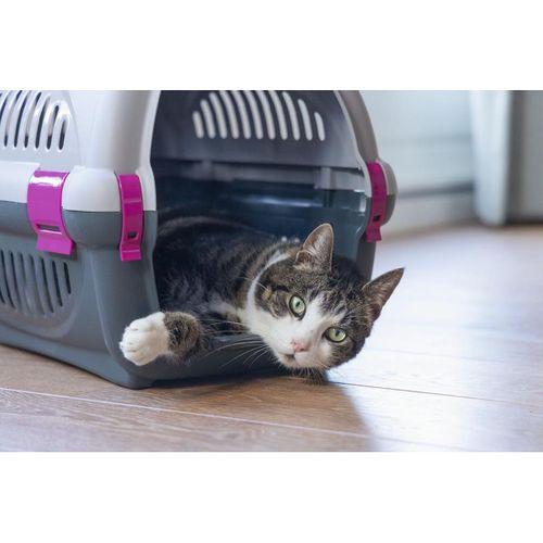 Beeztees Köpek veya Kedi Taşıma Kabı, Gri/Pembe, 51x34,5x33cm