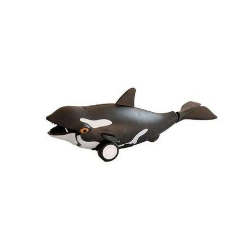 H-35 - SÜRTMELİ DENİZ HAYVANLARI 16'LI STAND