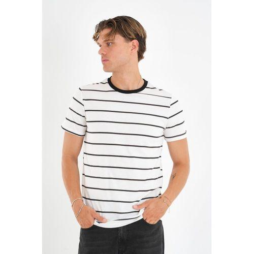 ALEXANDERGARDI Çizgili Kontrast Bisiklet Yaka T-shirt