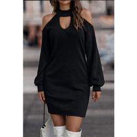 Kadın Uzun Kollu Omuzları Açık Boyundan şerit Detay Kaşkorse Elbise