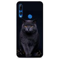 Lopard Huawei Y9 Prime 2019 Uyumlu Kılıf Kediler (47) Crystal Flex Kılıf Scottish Fold