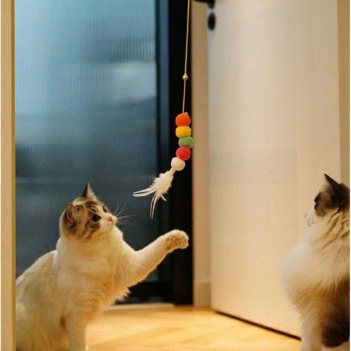 Eğitici Oyuncak Elastik Kendinden Yapışkanlı Solucan Kedi Oltası