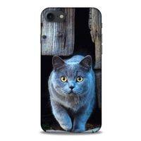 Lopard Apple Iphone 8 Uyumlu Kılıf Kediler (48) Bumper Kılıf Duman