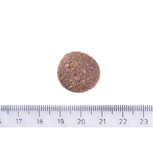 Brit Care Yetişkin Köpekler İçin, Tek Proteinli, Hipoalerjenik, Kuzu Etli Kuru Mama 12 kg