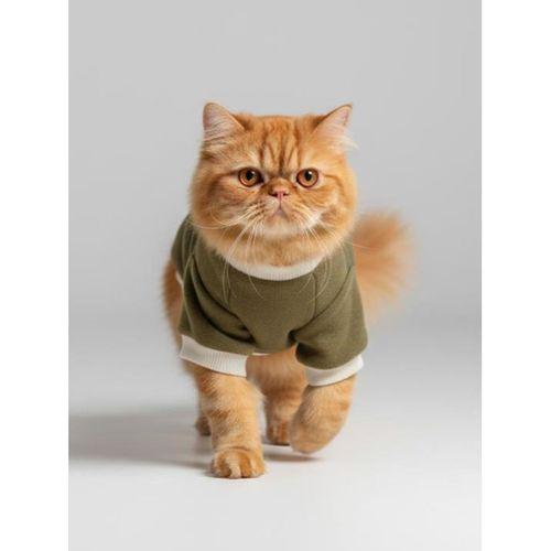 Minik Aslan Kedi Sweatshirt Haki Sıcak Tutan Yumuşak Kedi Kıyafeti