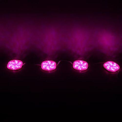 Powermaster 12 Volt 3 Watt Pembe Sabit 6565-2835 Modül Led