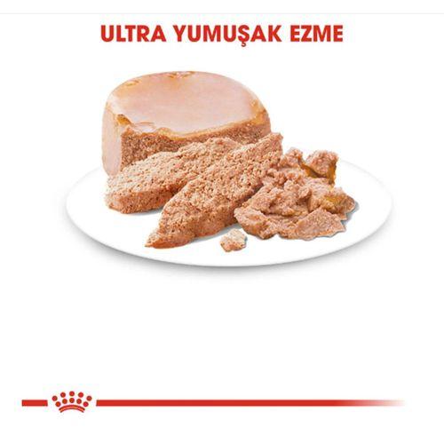 Royal Canin Starter Mousse Yavru Köpek Konservesi 195 Gr
