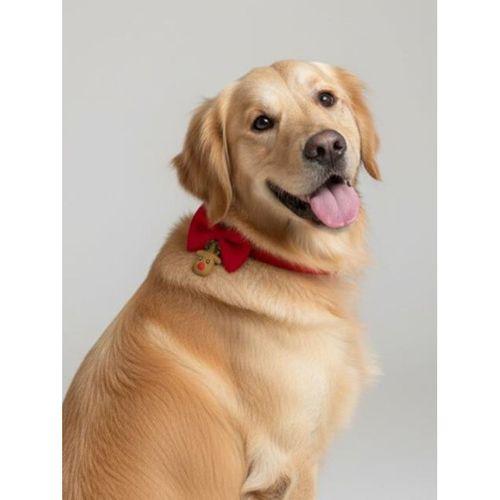 Yılbaşı Geyiği Köpek Papyon Tasması | Kırmızı Fiyonk Boyun Aksesuarı | Noel Temalı Köpek Süsü | Orta ve Büyük Irklar İçin