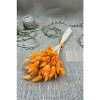 Turuncu Pamuk Otu Lagurus Dogal Kurutulmuş Çiçek