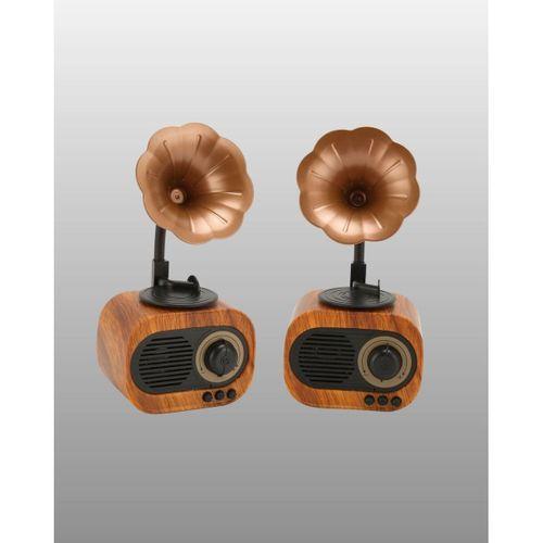 Kablosuz Retro Radyo Hoparlör 5w Güçlü Ses Usb Hafıza Kart Destekli