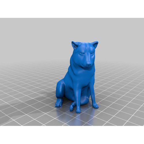 Chems Dog - 5138803