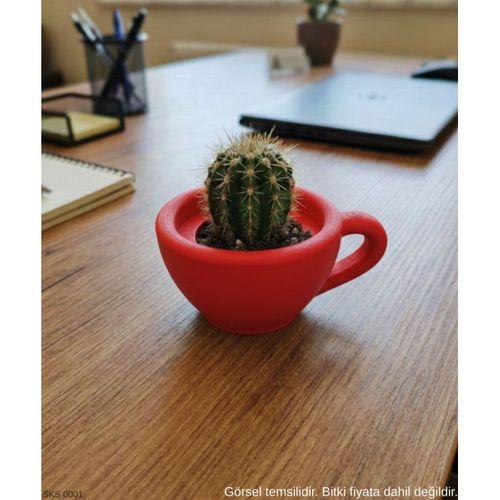 Kırmızı Mini Dekoratif Fincan Şeklinde Saksı – 6 Cm Masaüstü & Ofis Dekoru