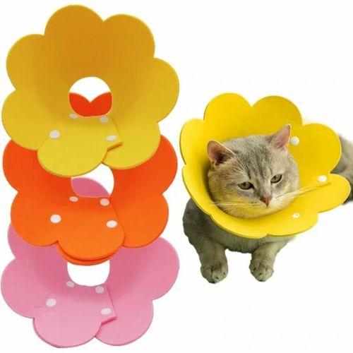 Evcil Hayvan M Boy Keçe Elizabeth Yakalığı