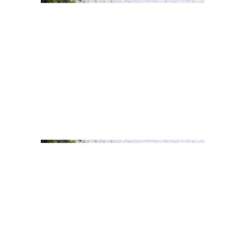 Metal Çırpıcı Paslanmaz Royaleks-PC14