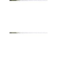 Metal Çırpıcı Paslanmaz Royaleks-PC14