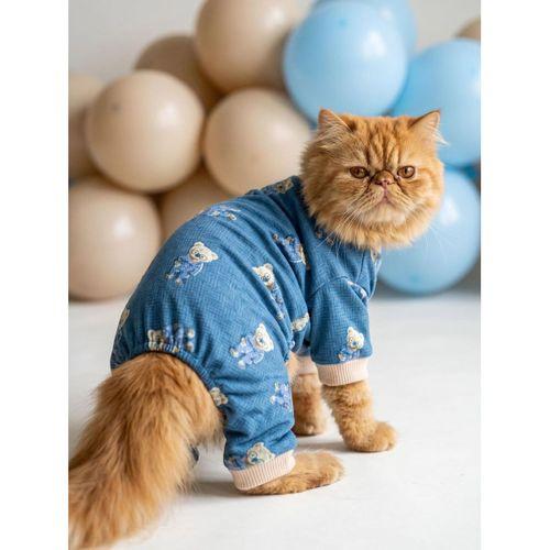 Teddy Blues Penye Kedi Tulumu | Ayıcık Desenli Kedi Pijaması | Küçük Irklar İçin