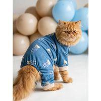 Teddy Blues Penye Kedi Tulumu | Ayıcık Desenli Kedi Pijaması | Küçük Irklar İçin