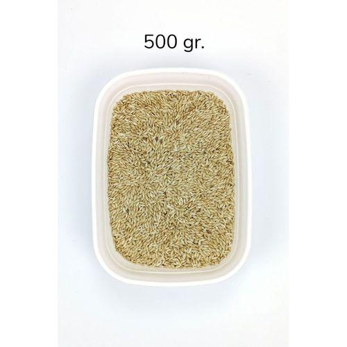 Doğal Taze Kanarya Sade Kuş Yemi - 500 gr