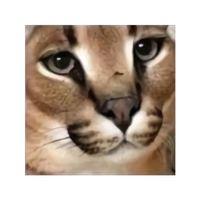 Flopcoin (Bu ürün Sadece Plastik parçadır - Almadan Önce Soru Sorabilirsiniz)