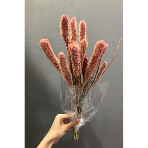 Pudra Setteria Kurutulmuş Çiçek-SKC-1022