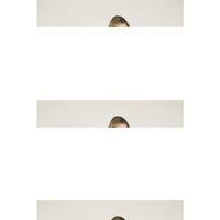 280 Kadın Polar Tek Rob