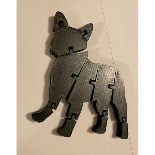 Flexi Fransız Buldog - 5152286