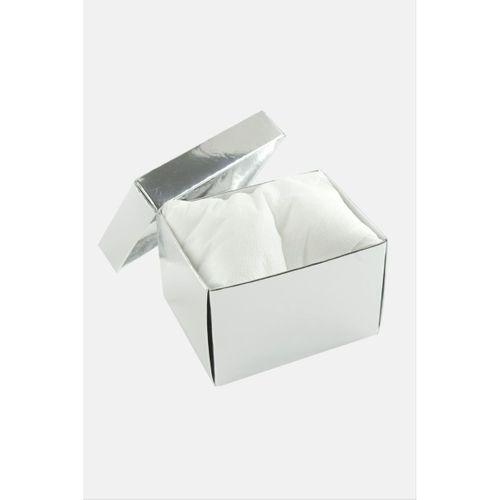 Gümüş Renkli Kapaklı Saat Kutusu