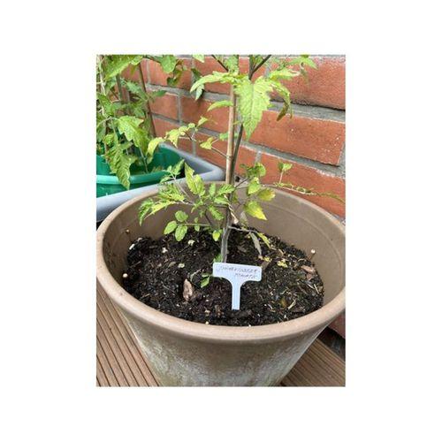 Bitki Etiket İşaretleyici – 3D Baskı Bahçe Aksesuarı (Bu ürün Sadece Plastik parçadır - Almadan Önce Soru Sorabilirsiniz)