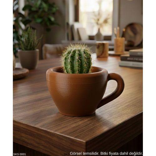 Kahverengi Mini Dekoratif Fincan Şeklinde Saksı – 6 Cm Masaüstü & Ofis Dekoru