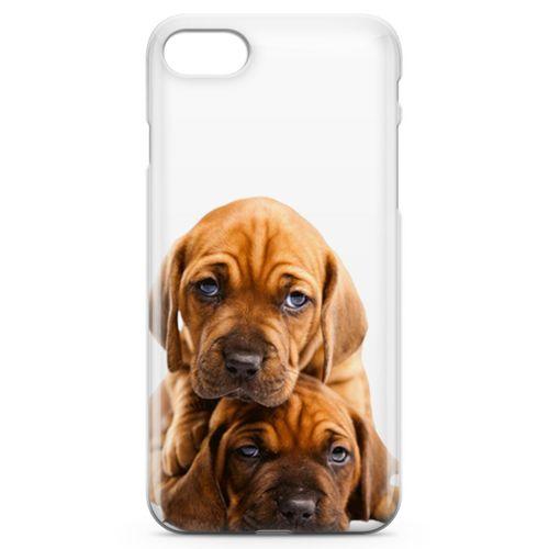 Apple iPhone SE 2020 Kılıf Amstaff Dachshund Arka Kapak Koruma Desenli Full Koruyucu