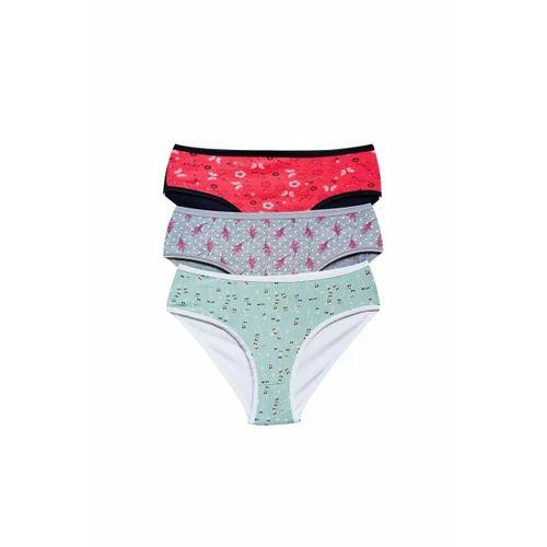 Pamuklu Geniş Kenarlı Likralı Desenli Bato Kadın Külot 3'lü Paket Set1