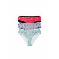 Pamuklu Geniş Kenarlı Likralı Desenli Bato Kadın Külot 3'lü Paket Set1