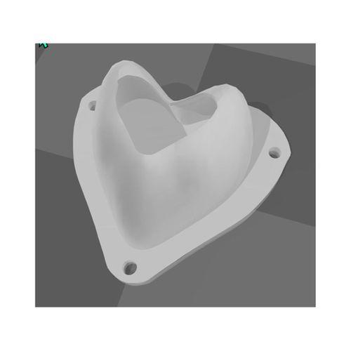 Kalp Şeklinde Sürüngen Saklanma Yeri (Bu ürün Sadece Plastik parçadır - Almadan Önce Soru Sorabilirsiniz)