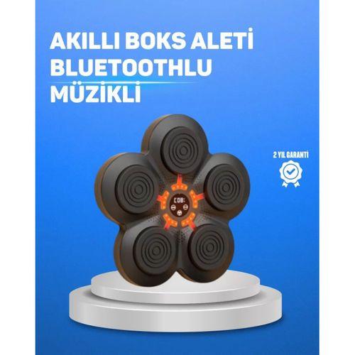 Müzikli Boks Duvar Paneli Akıllı Işık Sistemli Refleks Ve Kondisyon Aleti