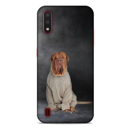 Samsung Galaxy A01 Kılıf Köpek Kıyafetleri (29) Arka Koruma Kılıfı Fransız Mastifi Kazak