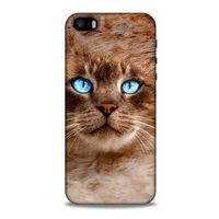 Lopard Apple Iphone 5S Uyumlu Kılıf Kediler (41) Tank Kılıf Haşin Mavi Göz