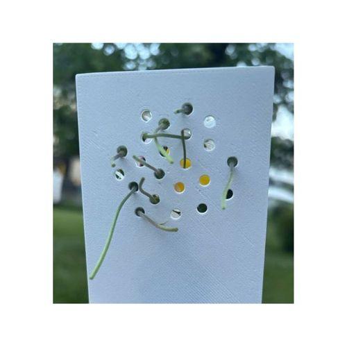 3D baskı çiçek toplama kartı şablonu (Bu ürün Sadece Plastik parçadır - Almadan Önce Soru Sorabilirsiniz)