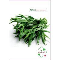 Arzuman Tarhun Tohumu (50 Adet)