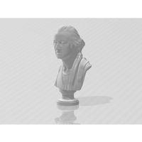 George Washington Büstü (Bu ürün Sadece Plastik parçadır - Almadan Önce Soru Sorabilirsiniz)
