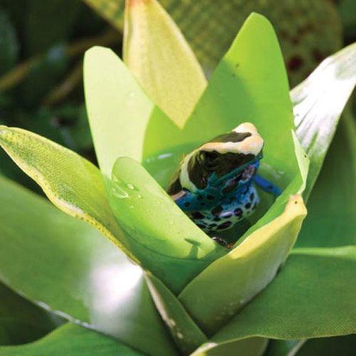 Exo Terra Teraryum İçin Plastik Bitki