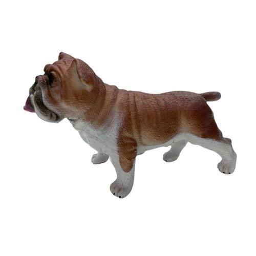 Soft Köpekler - Amerikan Bulldog Cinsi Köpek - E013