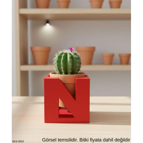 Kirmizi Harf Seklinde Mini Dekoratif Saksi Kisiye Ozel Bas Harf Tasarim Masa Ustu Ofis Dekoru