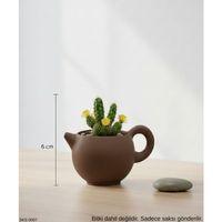 Kahverengi Caydanlik Seklinde Mini Dekoratif Saksi 6 Cm Masa Ustu Ofis Dekoru