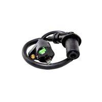 RAMZEY Ramzey Cub 100 Ateşleme Bobini