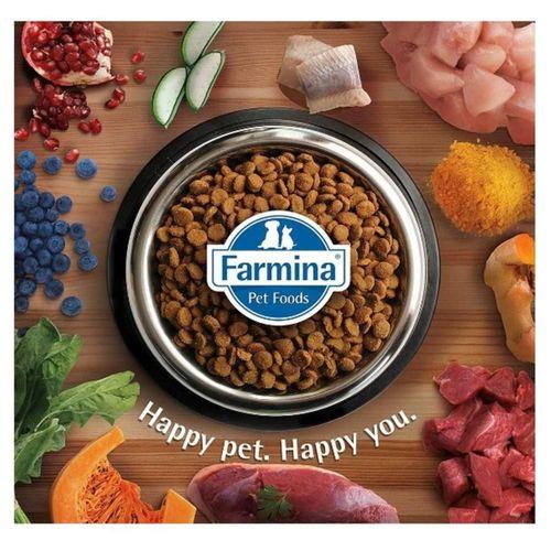 N&D Pumpkin Kuzu Yaban Mersini Kısırlaştırılmış Kedi Maması 1,5 Kg