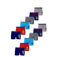 Dode Flora Tutku 0253 Erkek Çocuk Karışık Desenli Ekonomik 12 Li Paçalı Boxer