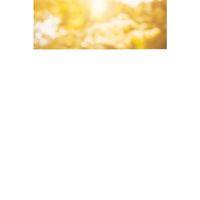 Kettle C F Tipi 220-240v Paslanmaz Çelik Elektrik Kablolu Otomatik Kapanma