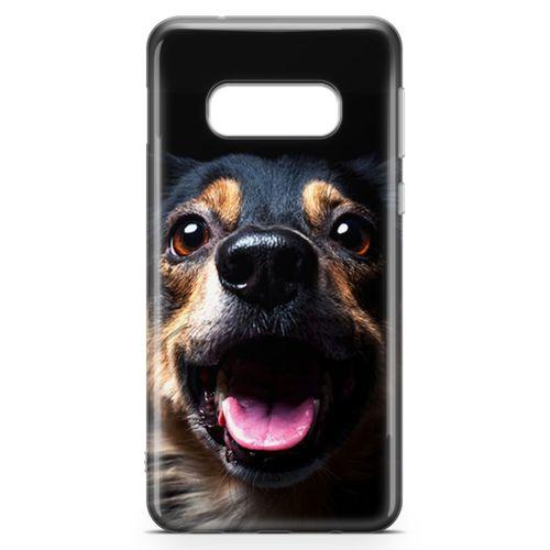 Samsung Galaxy S10e Kılıf Spaniel Arka Kapak Koruma Desenli Full Koruyucu